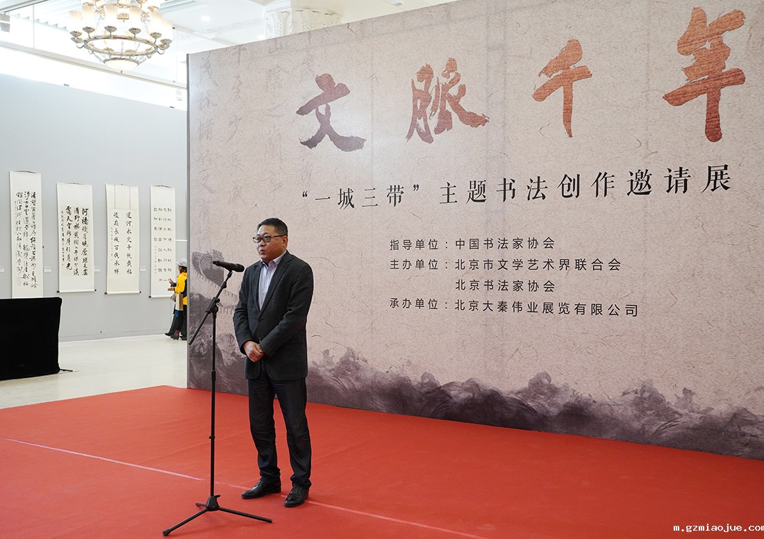 沈强宣布展览开幕 沈强宣布展览开幕