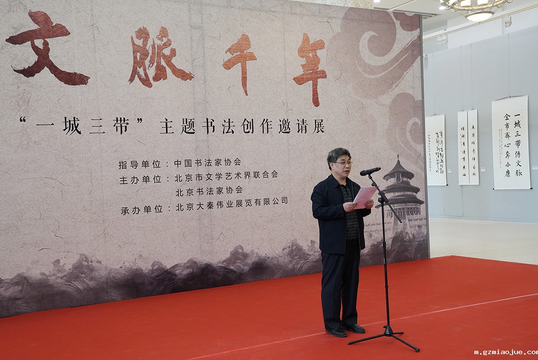 孙冬虎做主旨发言 孙冬虎做主旨发言