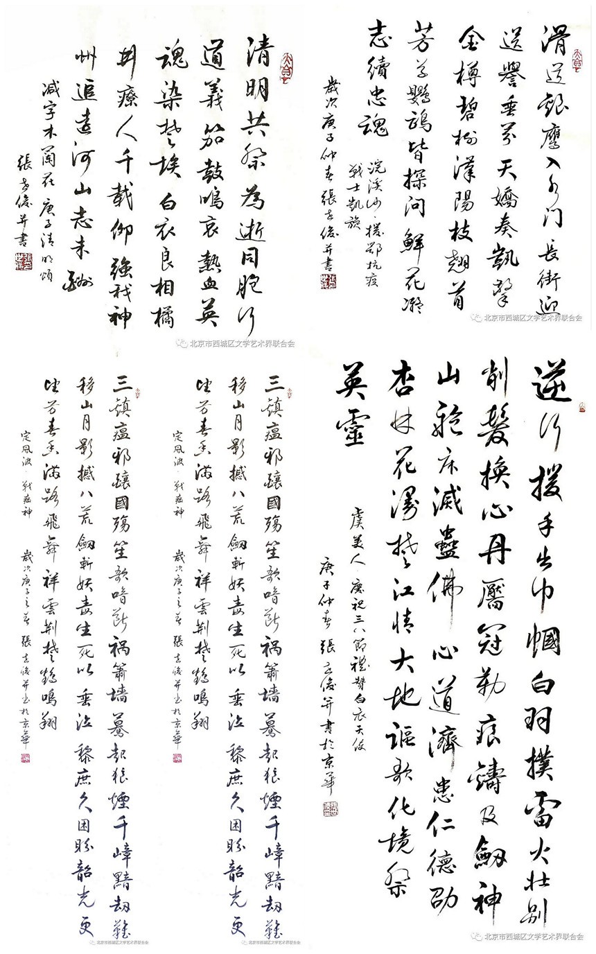 张世俊作品1 张世俊作品1